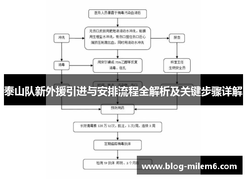 泰山队新外援引进与安排流程全解析及关键步骤详解
