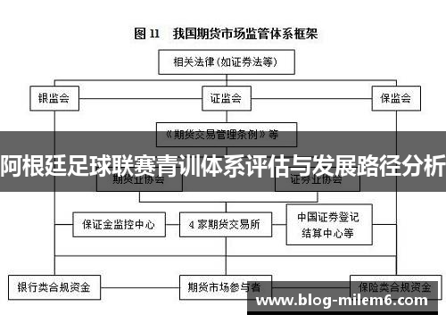 阿根廷足球联赛青训体系评估与发展路径分析 阿根廷足球联赛青训体系评估与发展路径分析