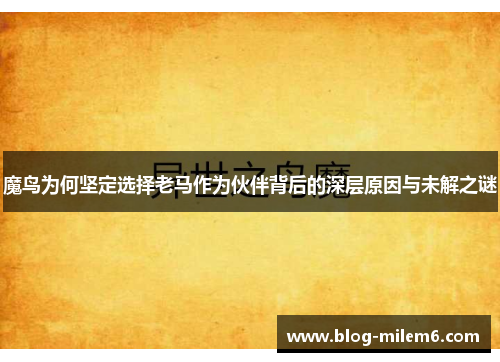 魔鸟为何坚定选择老马作为伙伴背后的深层原因与未解之谜